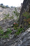 IMG_0345