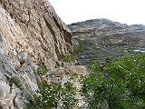 P1140986