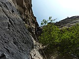 P1150024