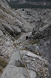 IMG_1147