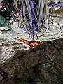 IMG_7289