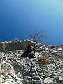 IMG_7293