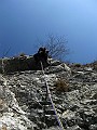 IMG_7294