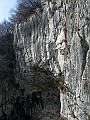 IMG_7295