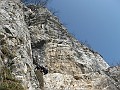 IMG_7296