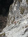 IMG_7297