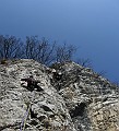 IMG_7302
