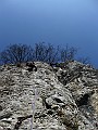 IMG_7304