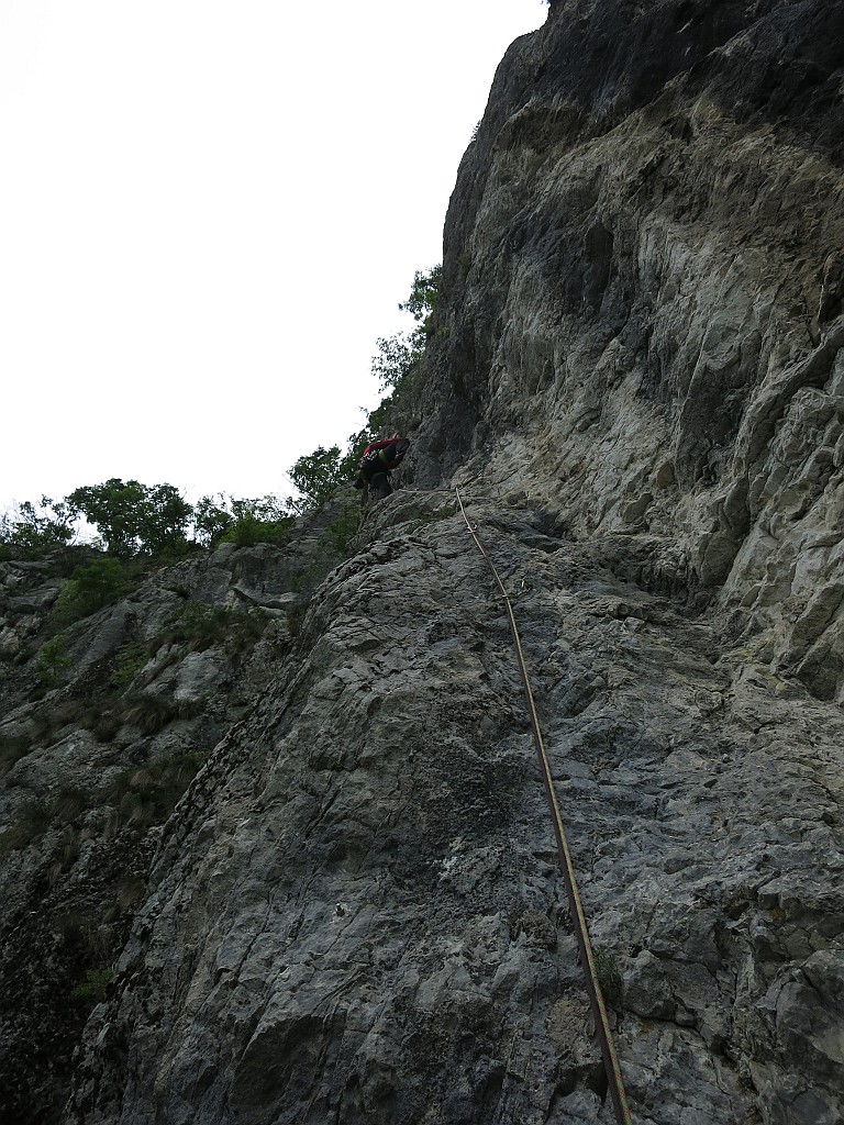 IMG_7089.JPG