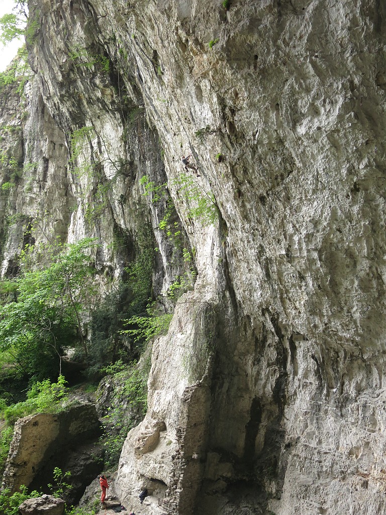 IMG_7114.JPG - Eh questi si tengono più di noi !