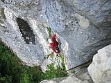IMG_7080