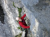 IMG_7081