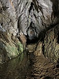 IMG_7110