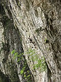 IMG_7116