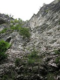 IMG_7121