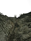 IMG_7130
