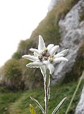 IMG_3439
