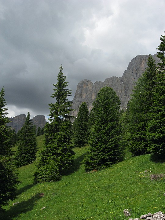 IMG_2758.JPG
