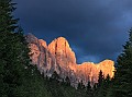 IMG_2597
