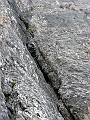 IMG_2736