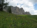 IMG_2755