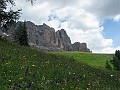 IMG_2756