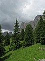 IMG_2758