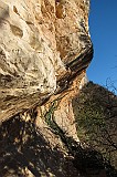 IMG_0866