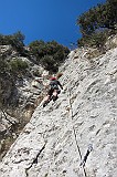IMG_0881