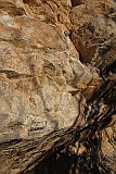 IMG_0864