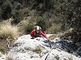 IMG_8192