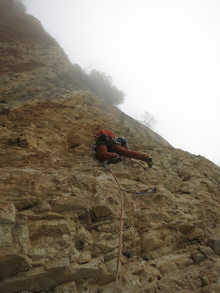 IMG_9648.JPG