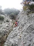 IMG_9660
