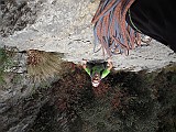 DSCN8078