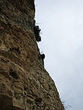 IMG_2236