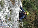 IMG_2239