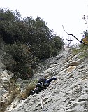 IMG_2240