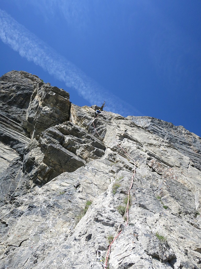 IMG_5562.JPG - Sul terzo tiro