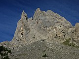 IMG_5552