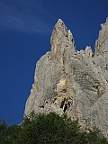 IMG_5553