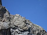 IMG_5567