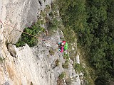 IMG_5981