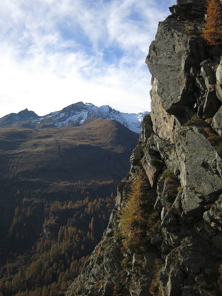 IMG_9420.JPG