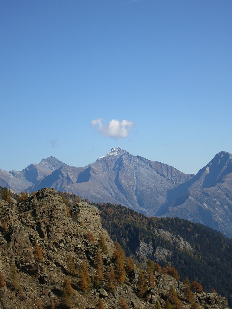 IMG_9424.JPG