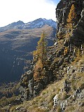 IMG_9422