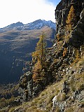 IMG_9423