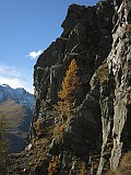 IMG_9428