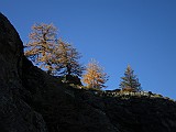 IMG_9464