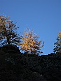 IMG_9470