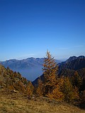 IMG_9486
